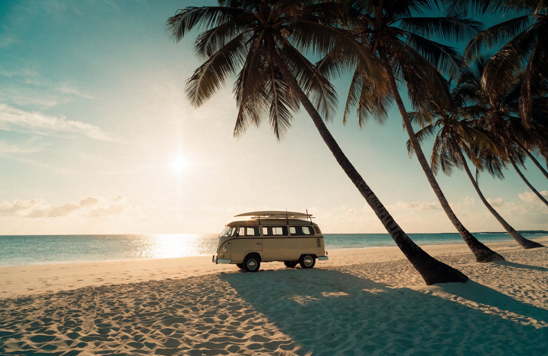 Beach Bum van beside the shore