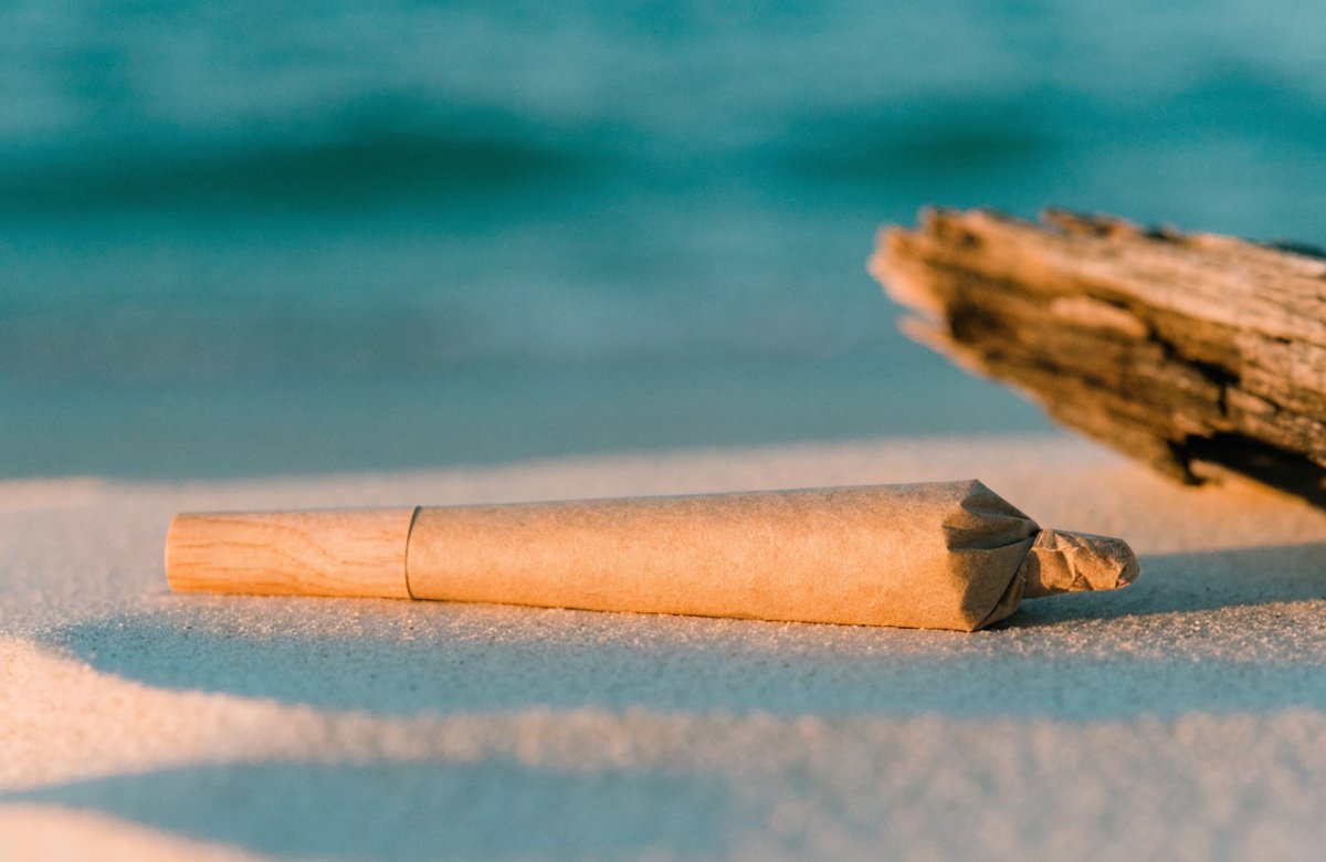 El Torpedo Beach Bum Cannabis